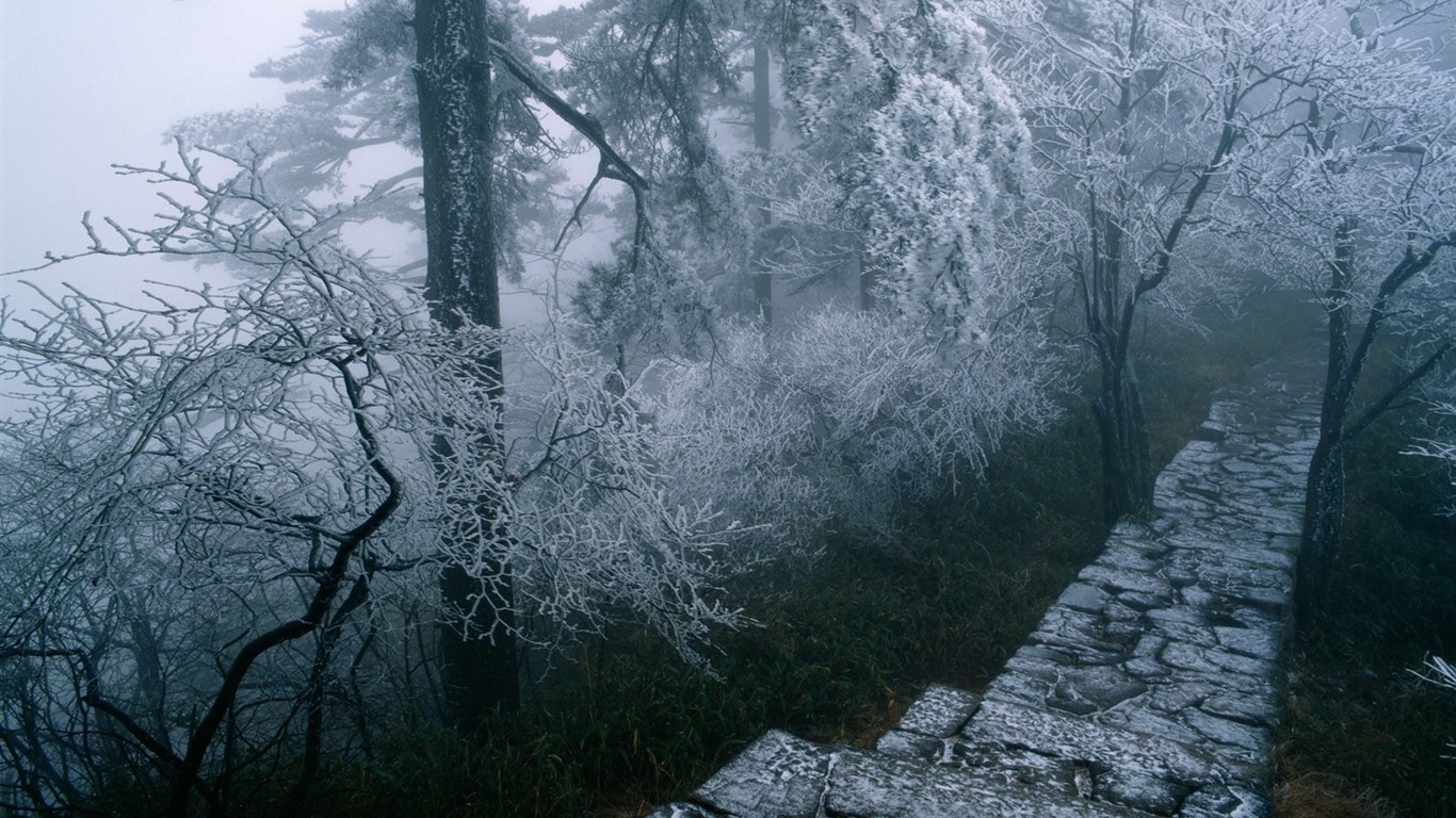 風光合集壁紙(三) #30 - 1366x768