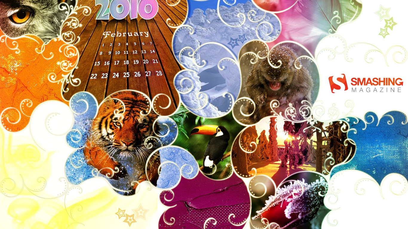 Februar 2010 Kalender Wallpaper kreative #1 - 1366x768