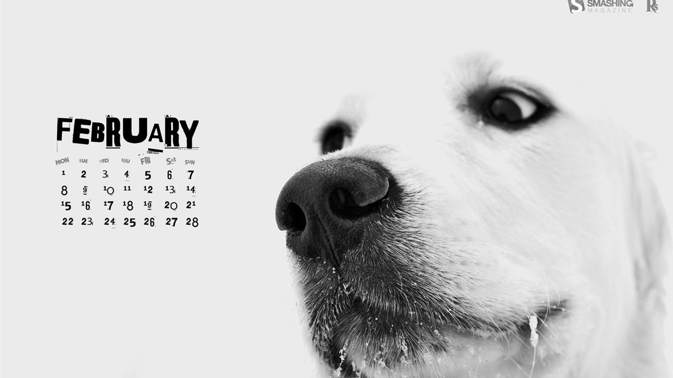 Februar 2010 Kalender Wallpaper kreative #14 - 1366x768