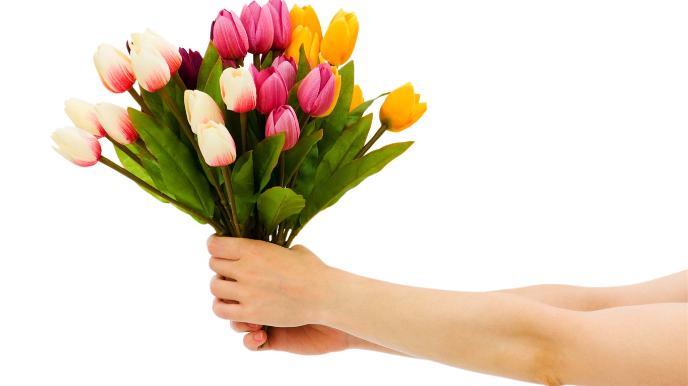 Velký tulipán tapetu (2) #15 - 1366x768