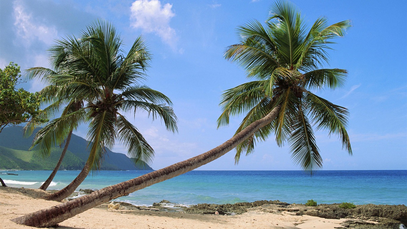 Fond d'écran îles (1) #1 - 1366x768