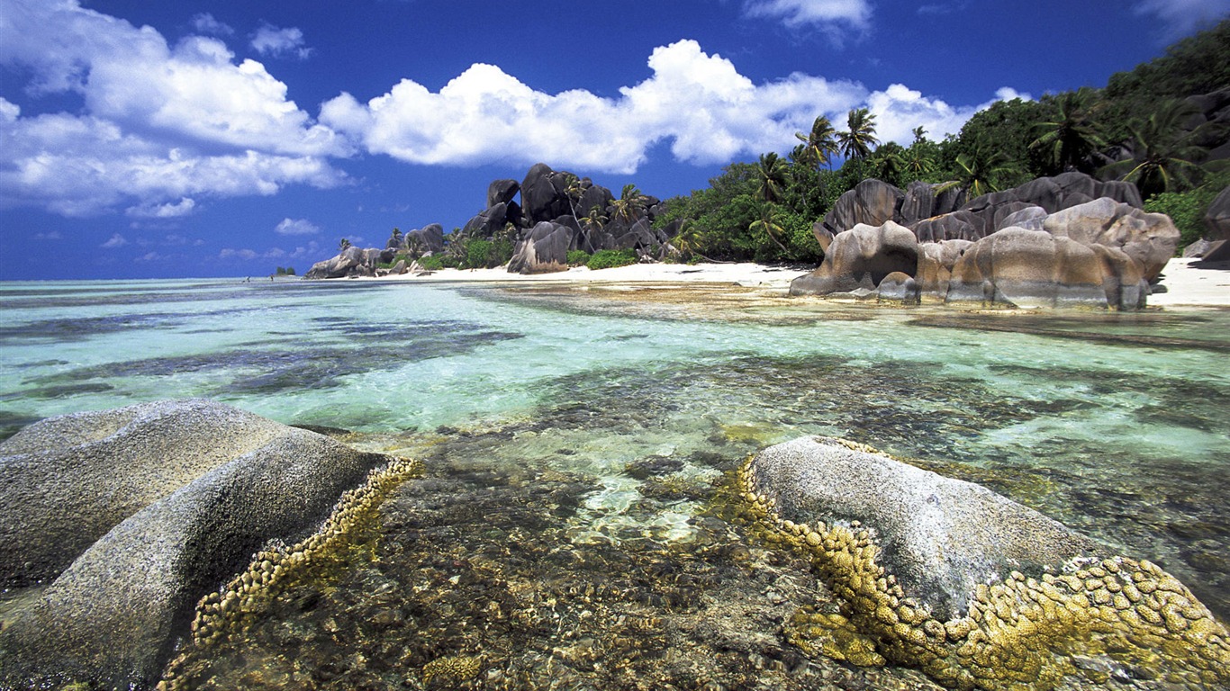 Fond d'écran îles (1) #2 - 1366x768