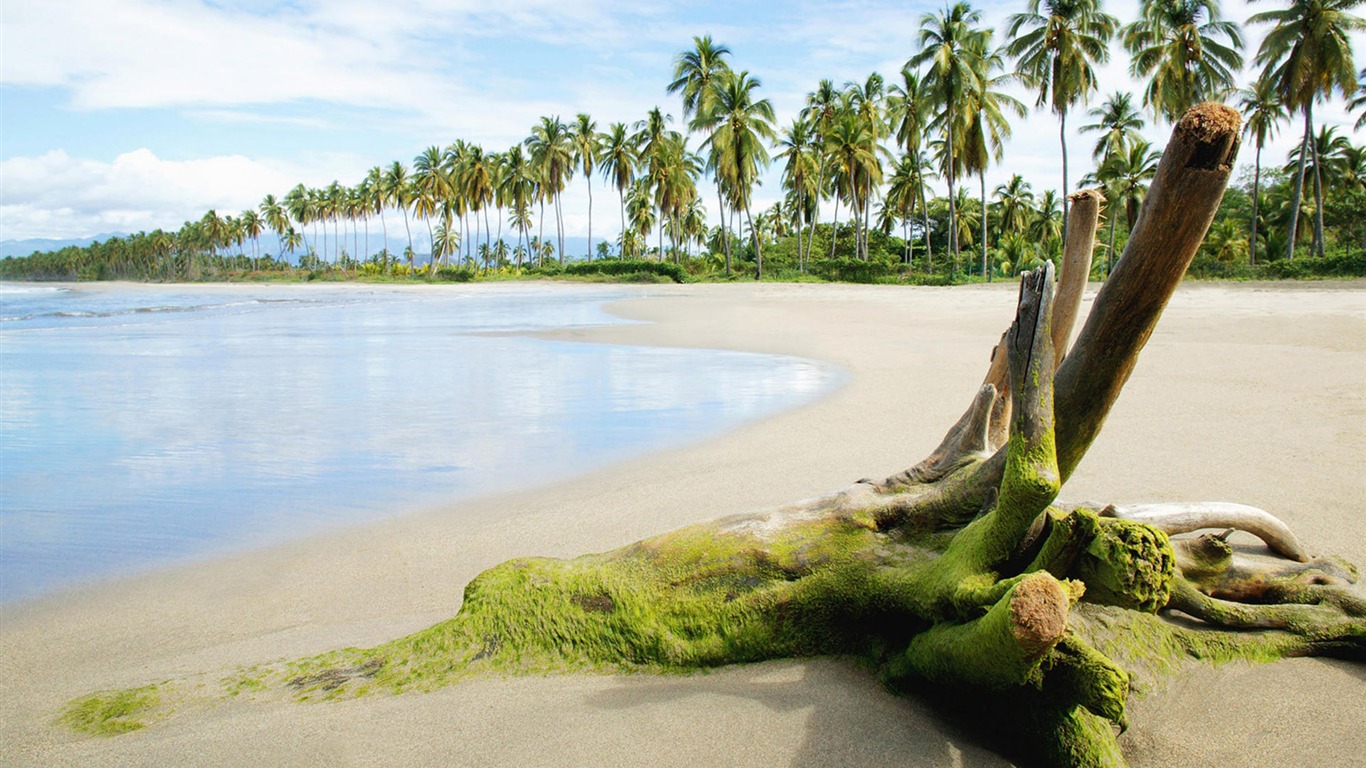 Islands离岛 壁纸(二)14 - 1366x768