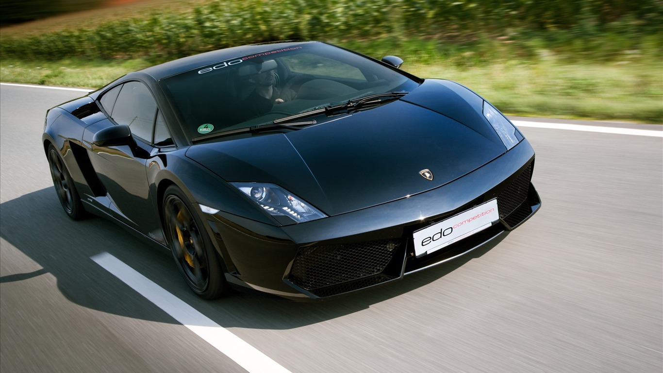 2010 Lamborghini wallpaper #15 - 1366x768