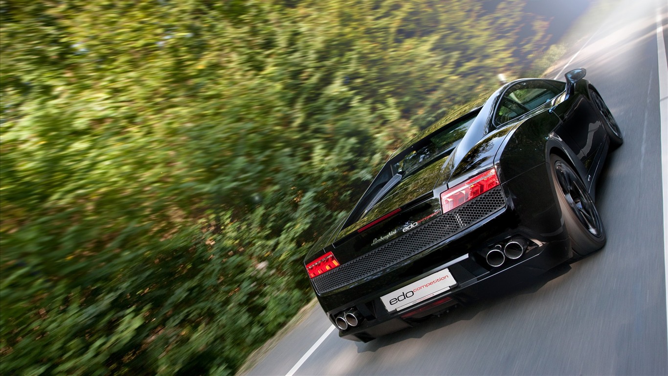 2010 Lamborghini wallpaper #16 - 1366x768