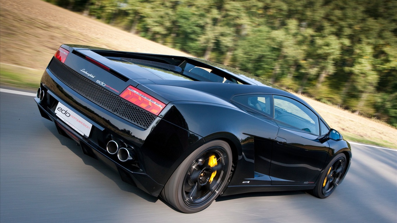 2010 Lamborghini Wallpaper #17 - 1366x768