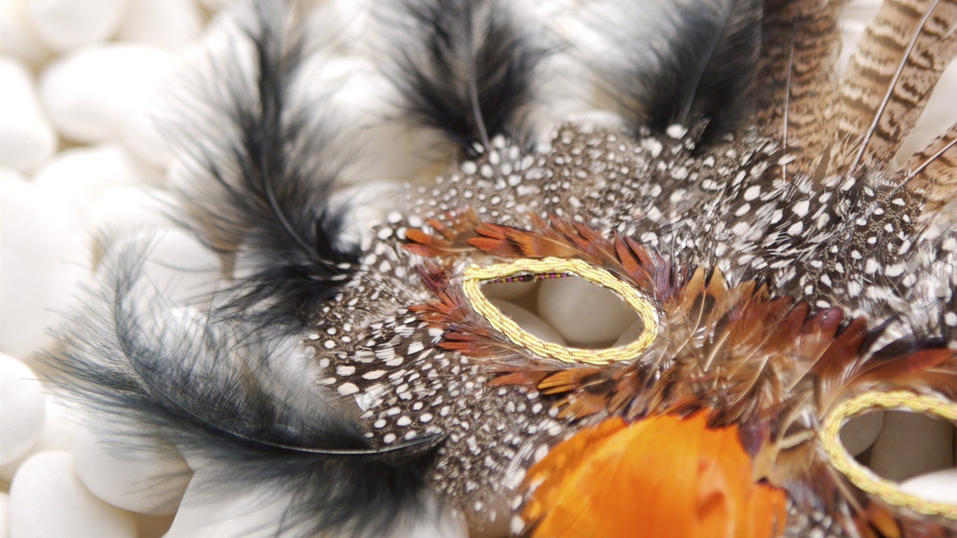 Still life close-up wallpaper (2) #4 - 1366x768