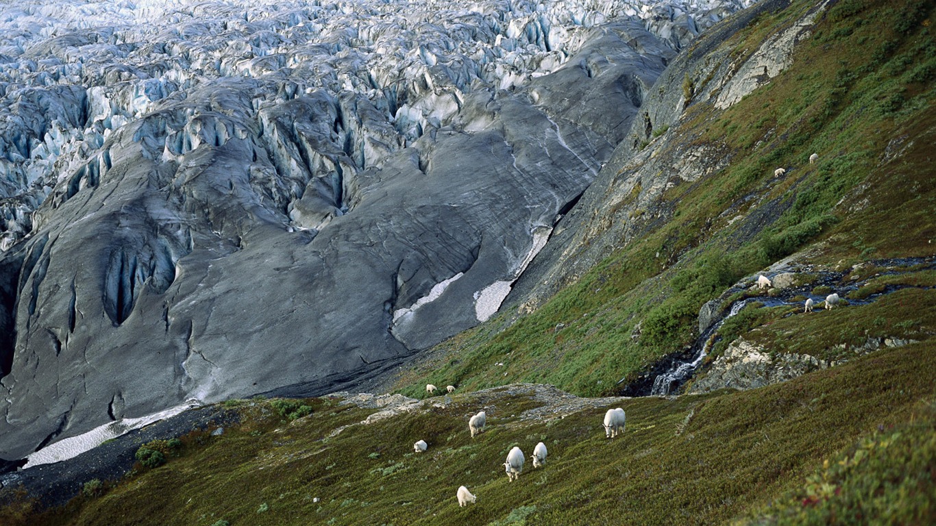Fond d'écran paysage de l'Alaska (1) #8 - 1366x768