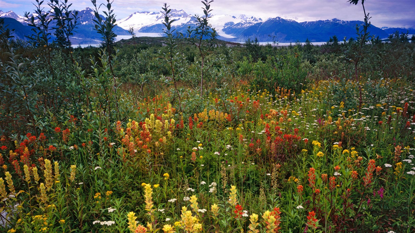 Fond d'écran paysage de l'Alaska (1) #16 - 1366x768