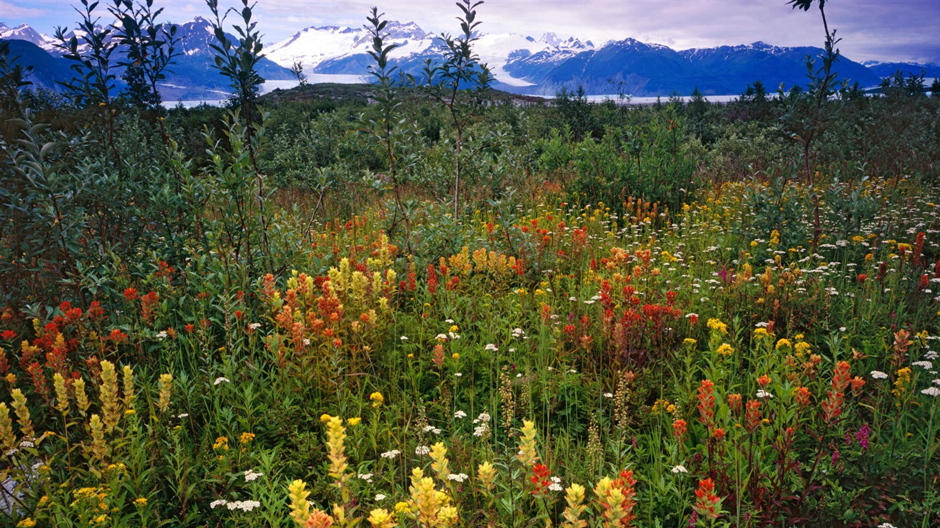 Alaska scenery wallpaper (1) #16 - 1366x768