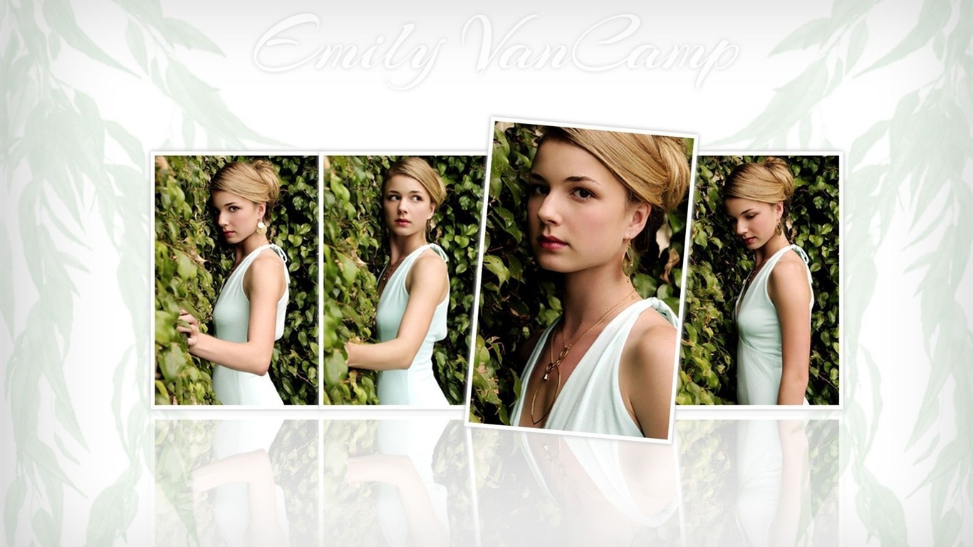 Emily VanCamp krásnou tapetu #2 - 1366x768