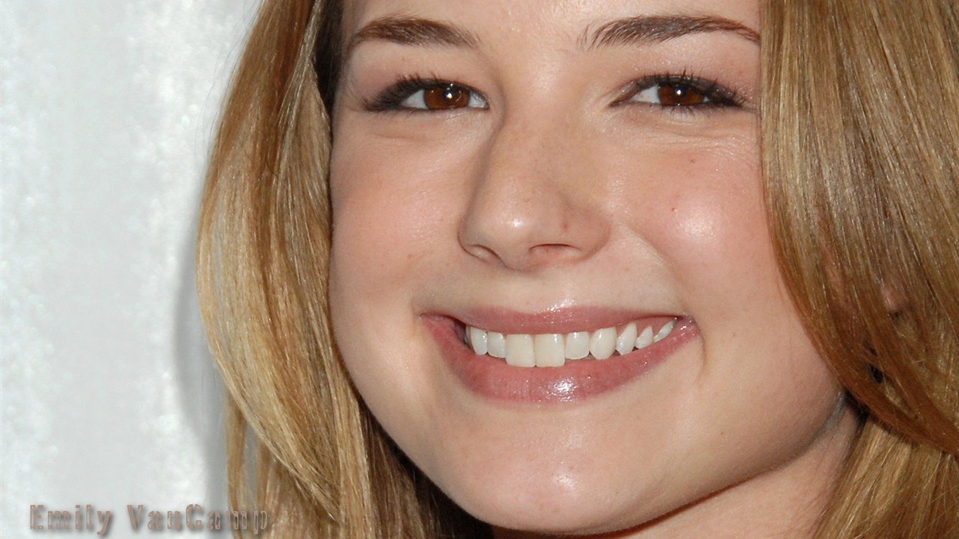 Emily VanCamp schöne Tapete #9 - 1366x768