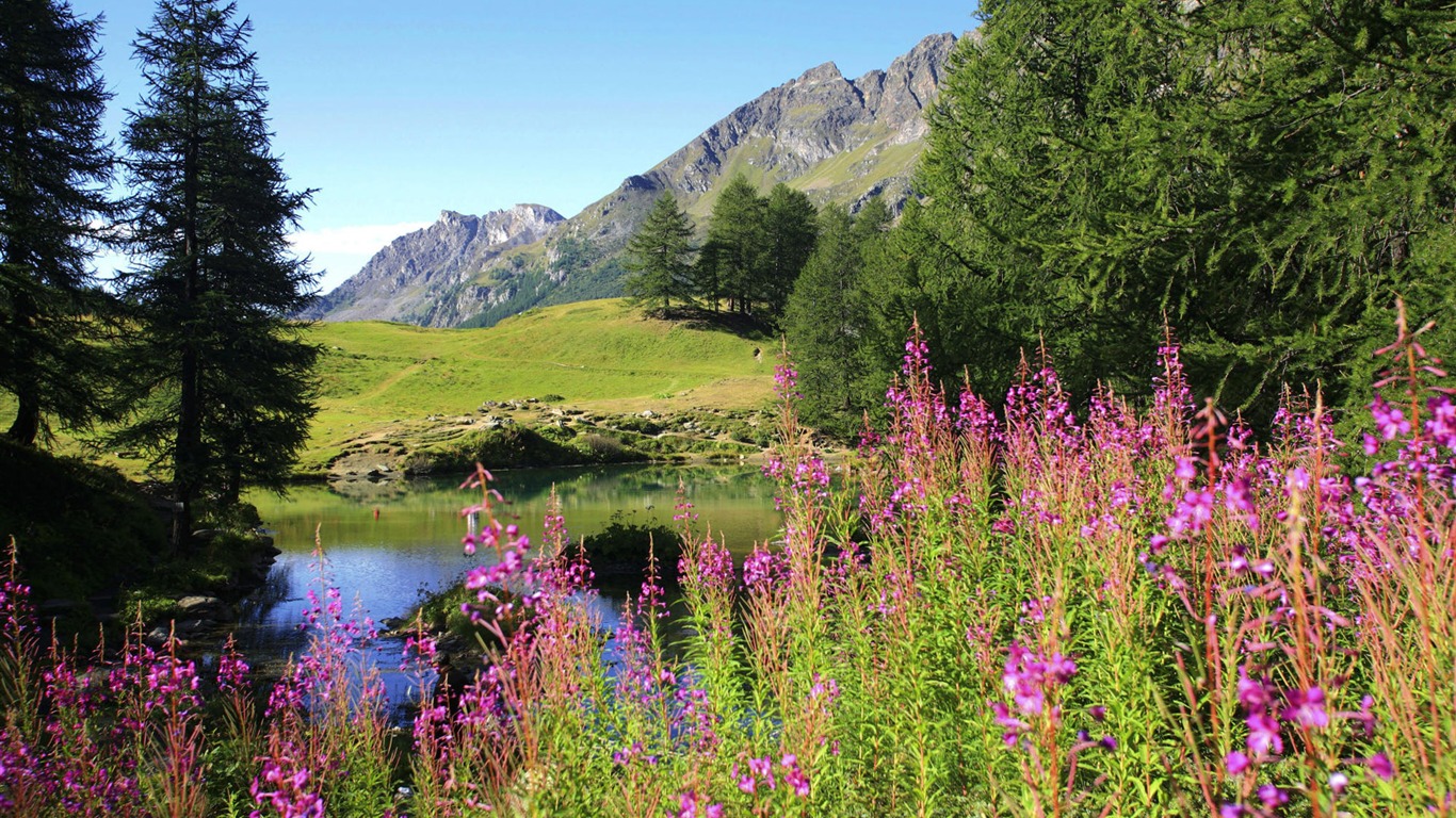 Fond d'écran paysage de l'Alaska (2) #1 - 1366x768