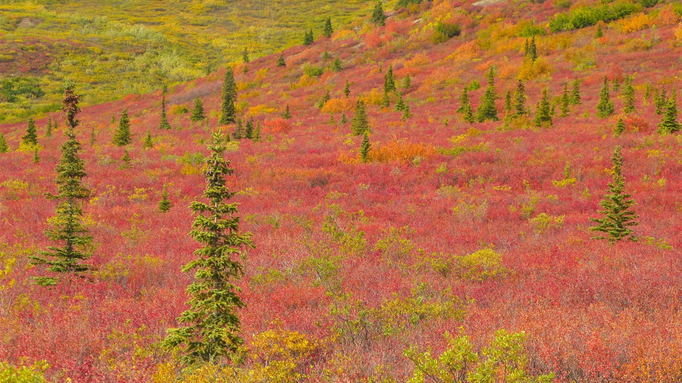 Fond d'écran paysage de l'Alaska (2) #2 - 1366x768