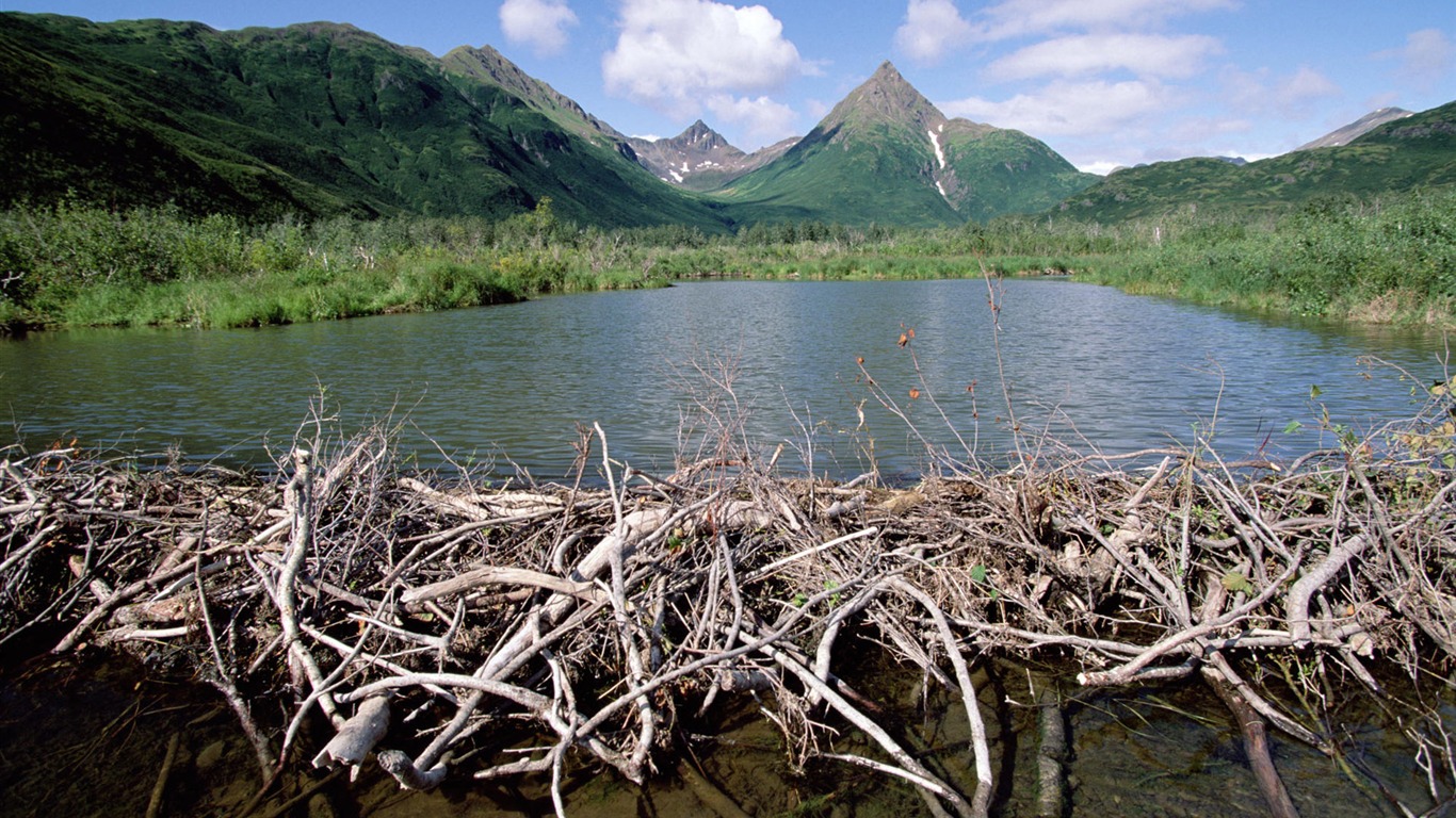 Fond d'écran paysage de l'Alaska (2) #9 - 1366x768