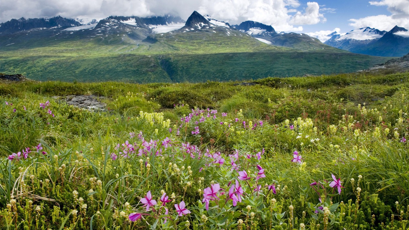 Fond d'écran paysage de l'Alaska (2) #12 - 1366x768