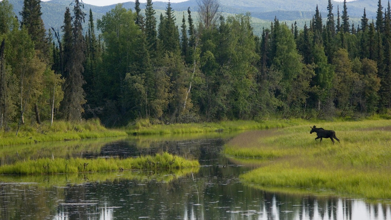 Fond d'écran paysage de l'Alaska (2) #14 - 1366x768