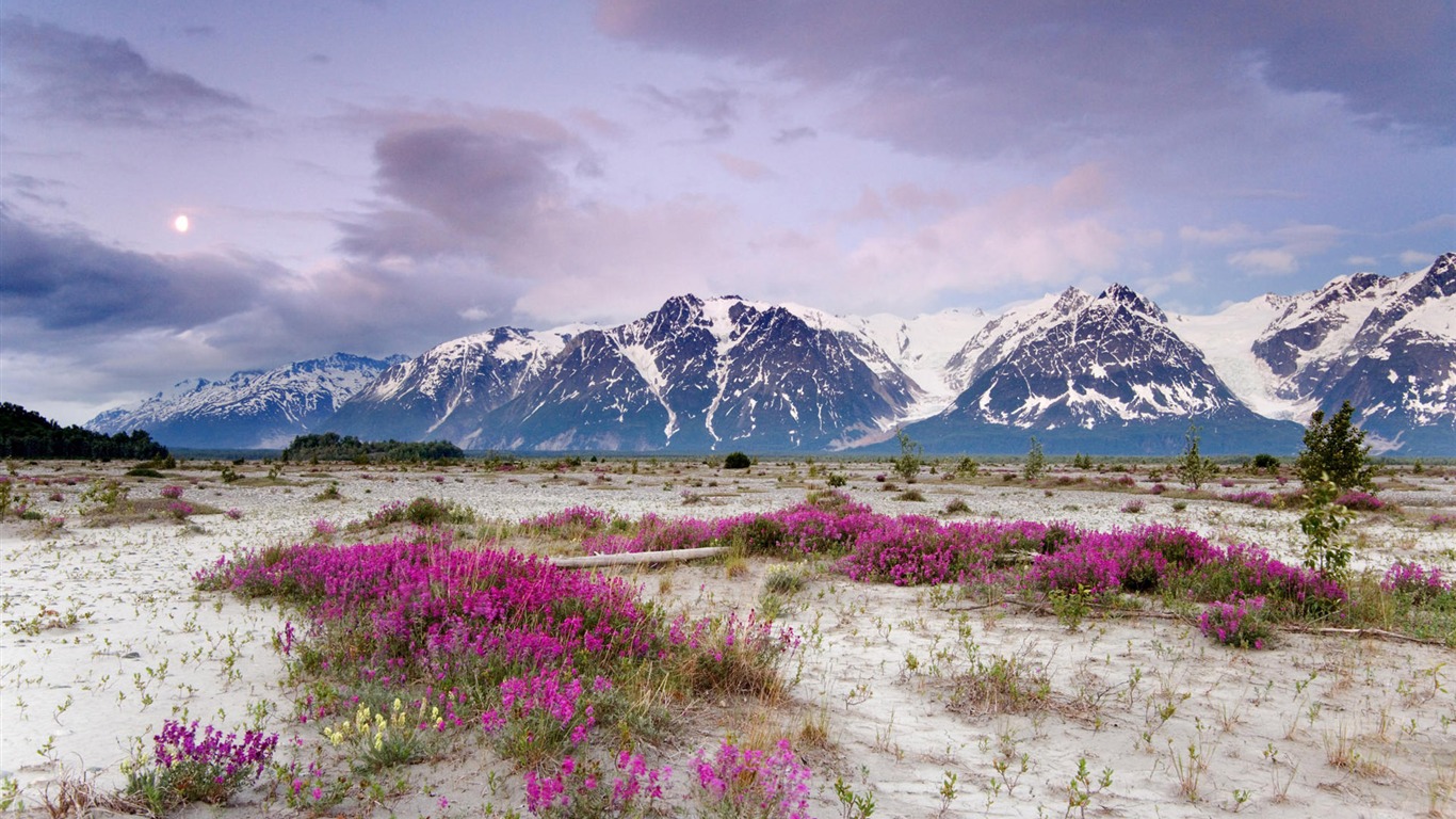 Fond d'écran paysage de l'Alaska (2) #18 - 1366x768