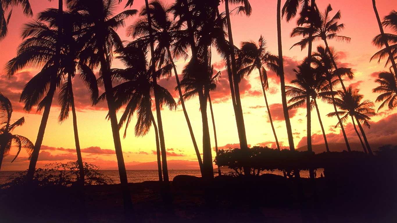 Beach island wallpaper (1) #11 - 1366x768