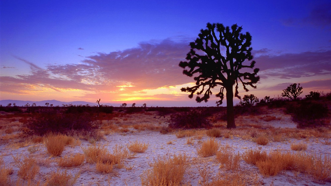 California Scenery Wallpapers (1) #14 - 1366x768