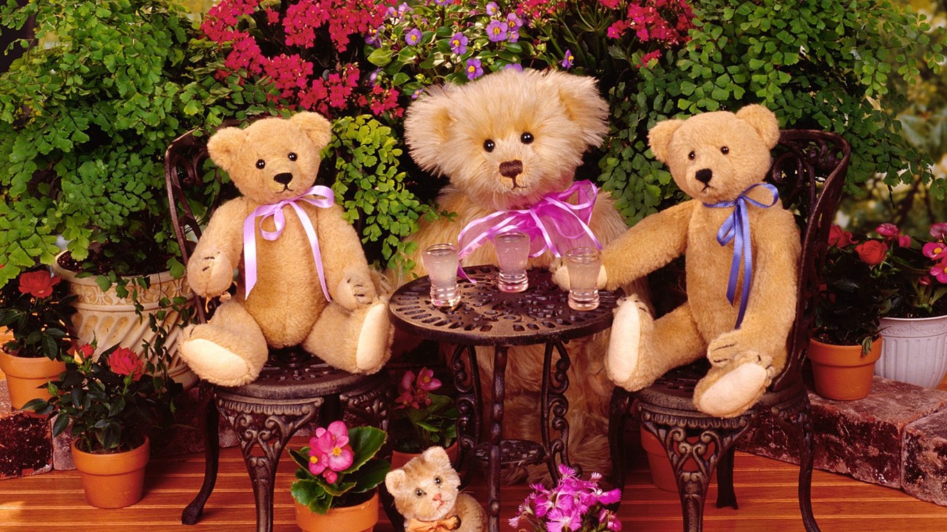 Gift Bear wallpaper #3 - 1366x768