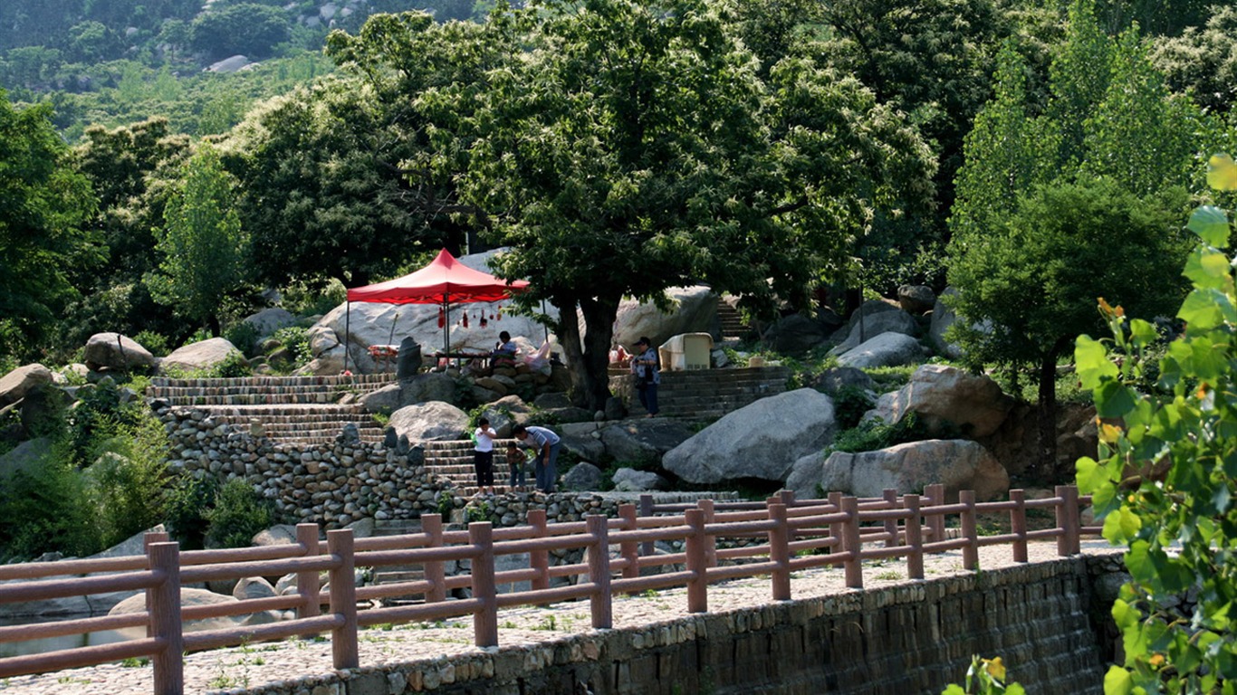 Mountain Song birthplace (Minghu Metasequoia works) #12 - 1366x768