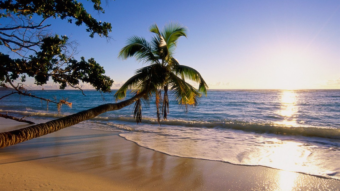 Beach Insel Wallpaper (2) #13 - 1366x768