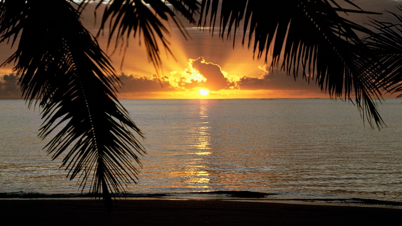 Playa fondos de escritorio de la isla (2) #17 - 1366x768