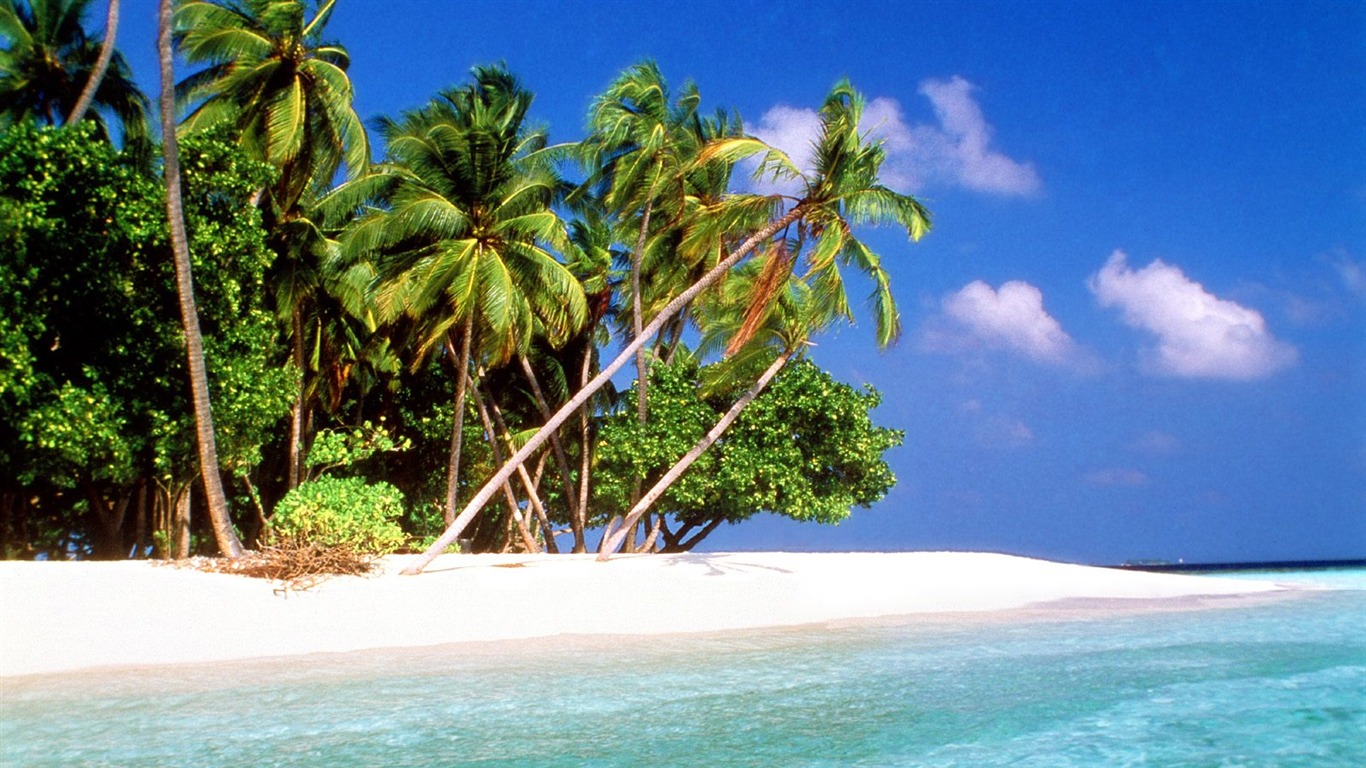 Beach Insel Wallpaper (2) #23 - 1366x768