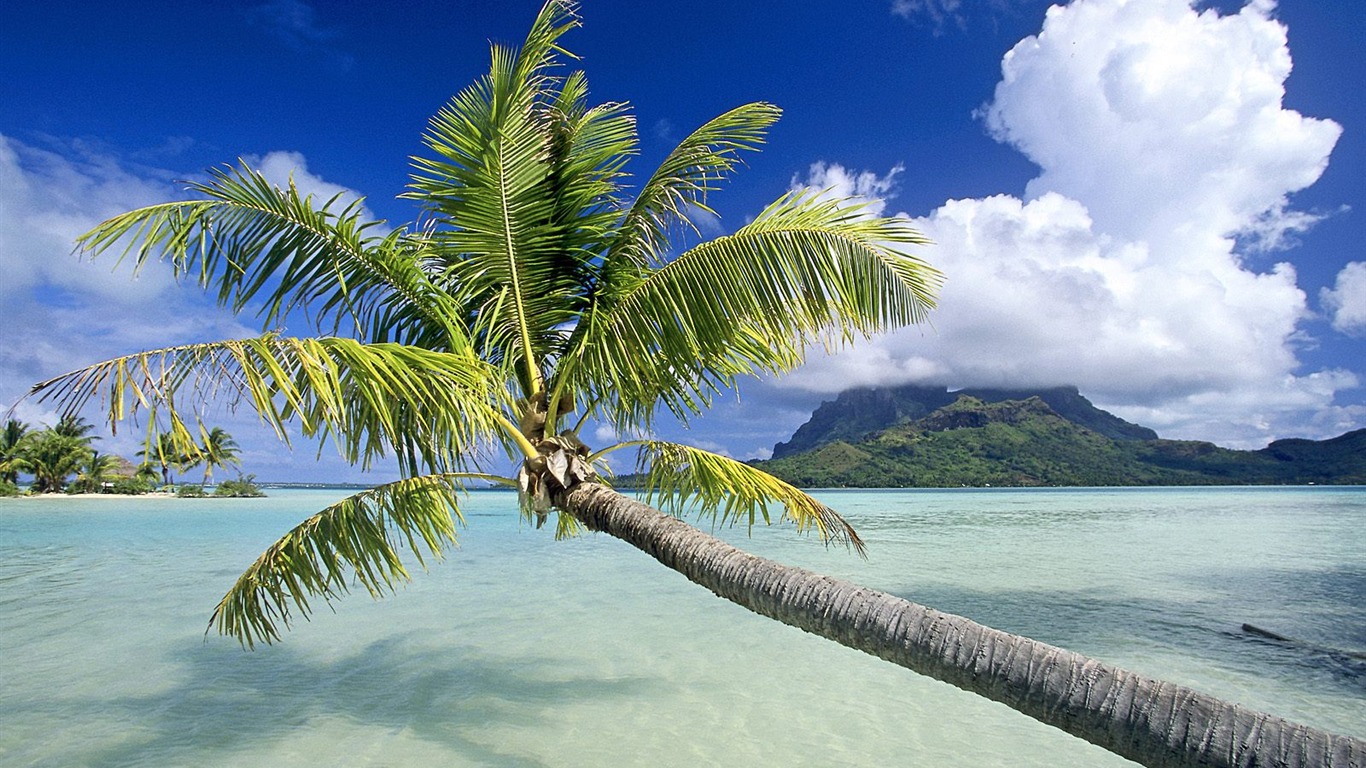 Beach ostrov tapety (2) #26 - 1366x768