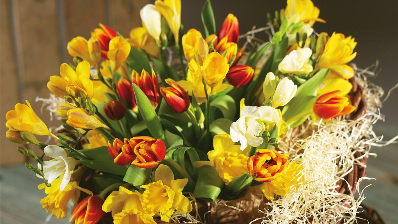 fleurs fond d'écran Widescreen close-up (6) #1 - 1366x768