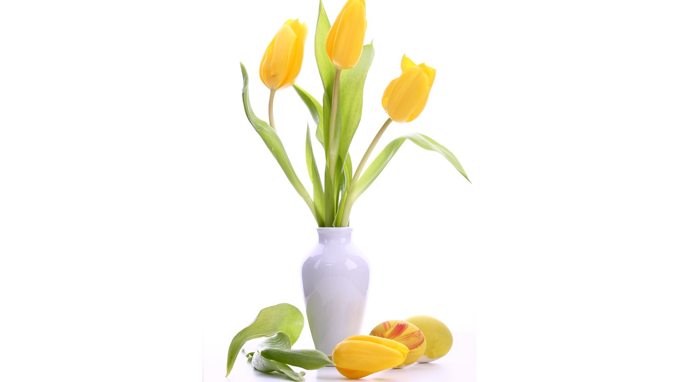 Velký tulipán tapetu (3) #2 - 1366x768