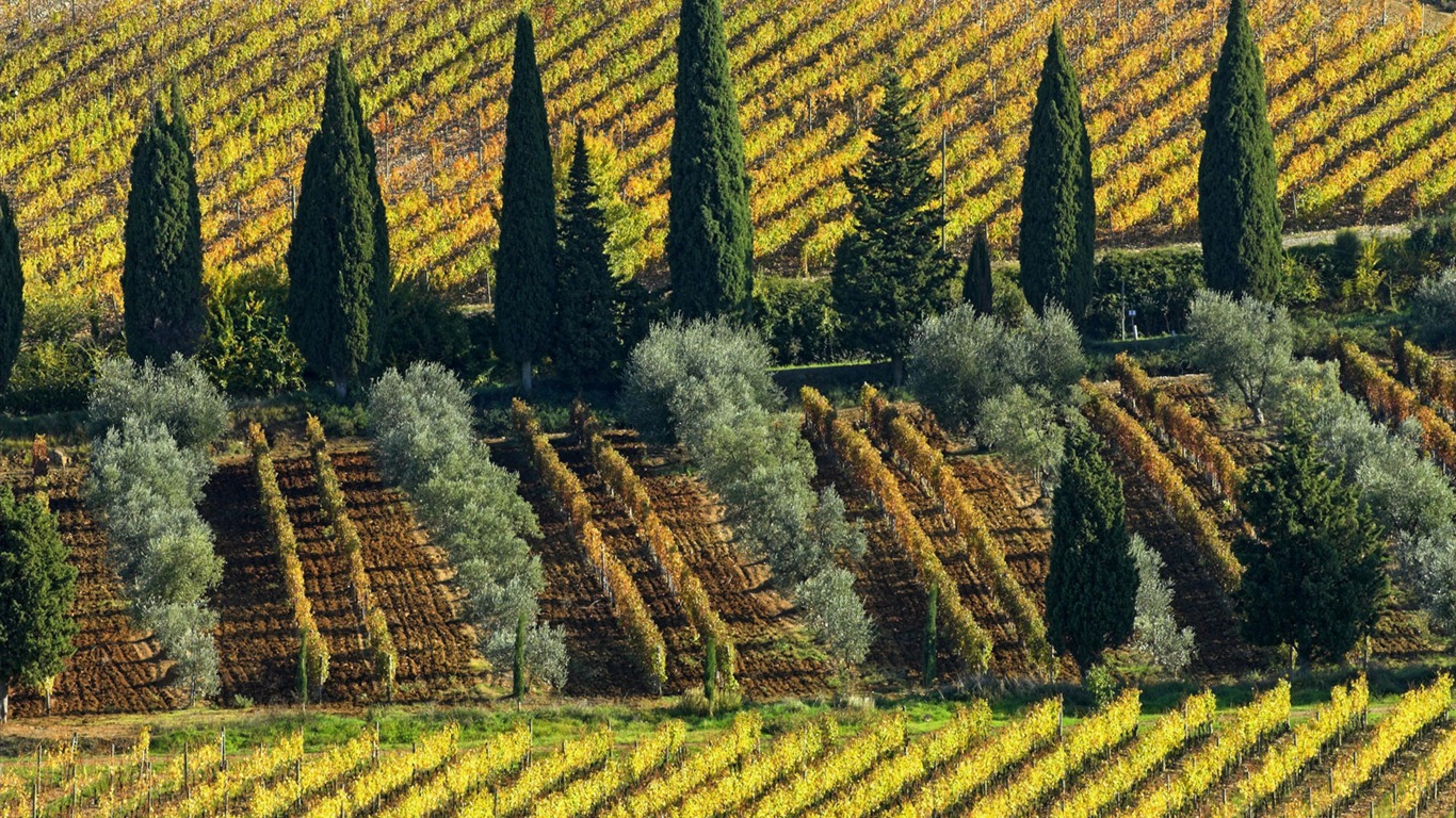 Fond d'écran paysage italien (2) #17 - 1366x768