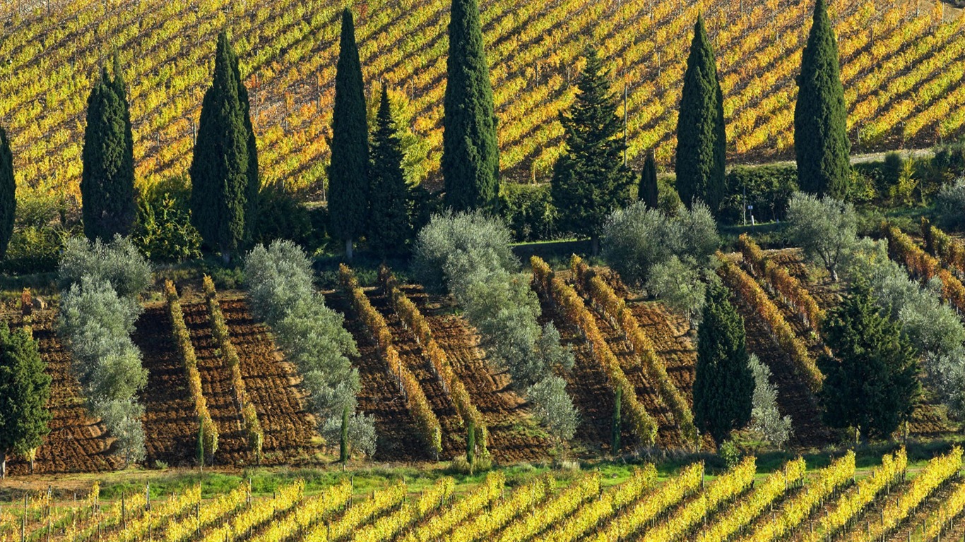 Paisaje italiano fondo de pantalla (2) #17 - 1366x768