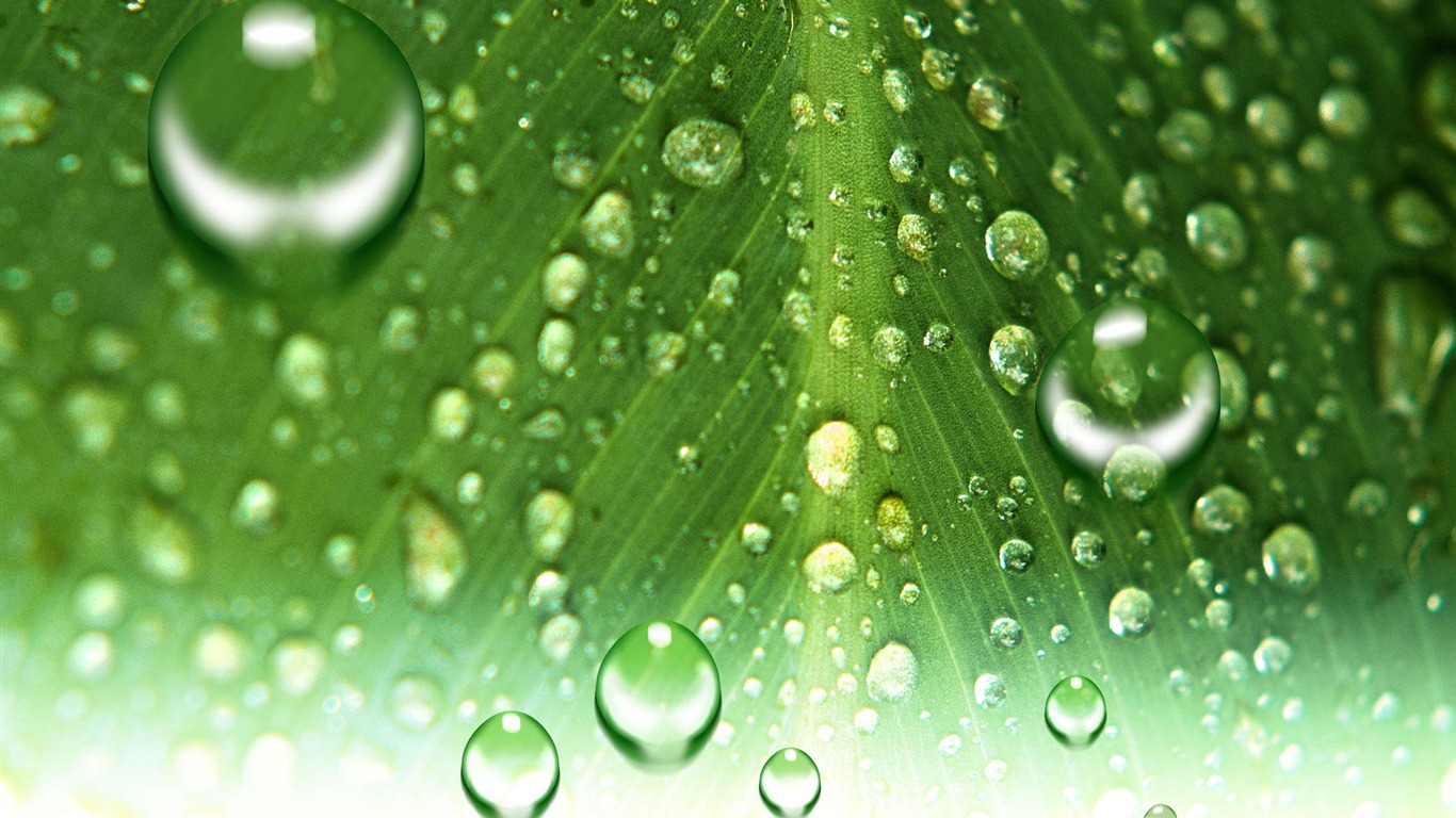 Colorful Water drops HD wallpaper #7 - 1366x768