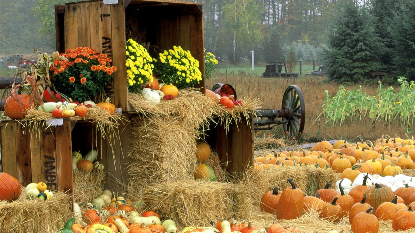 Fonds d'écran thème de l'Halloween (1) #7 - 1366x768