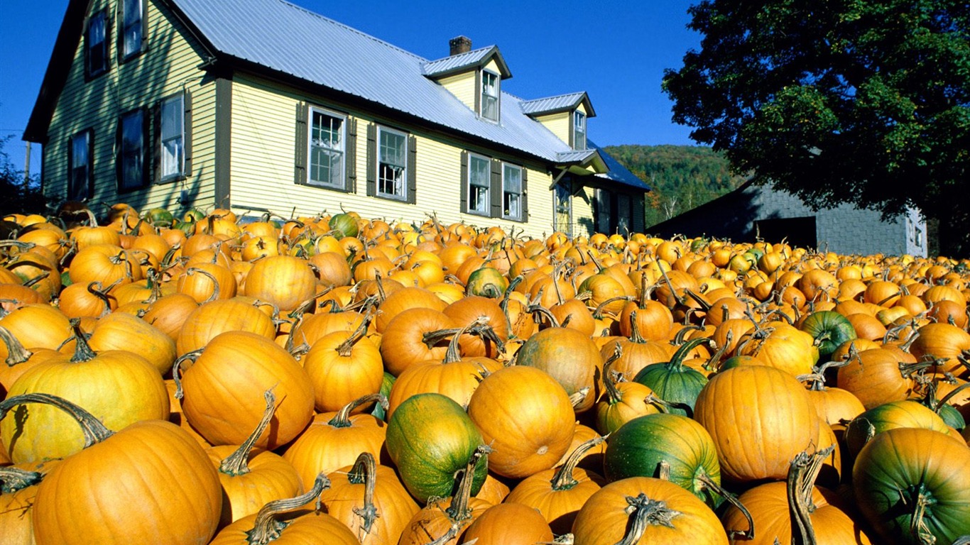 Fondos de Halloween temáticos (1) #8 - 1366x768