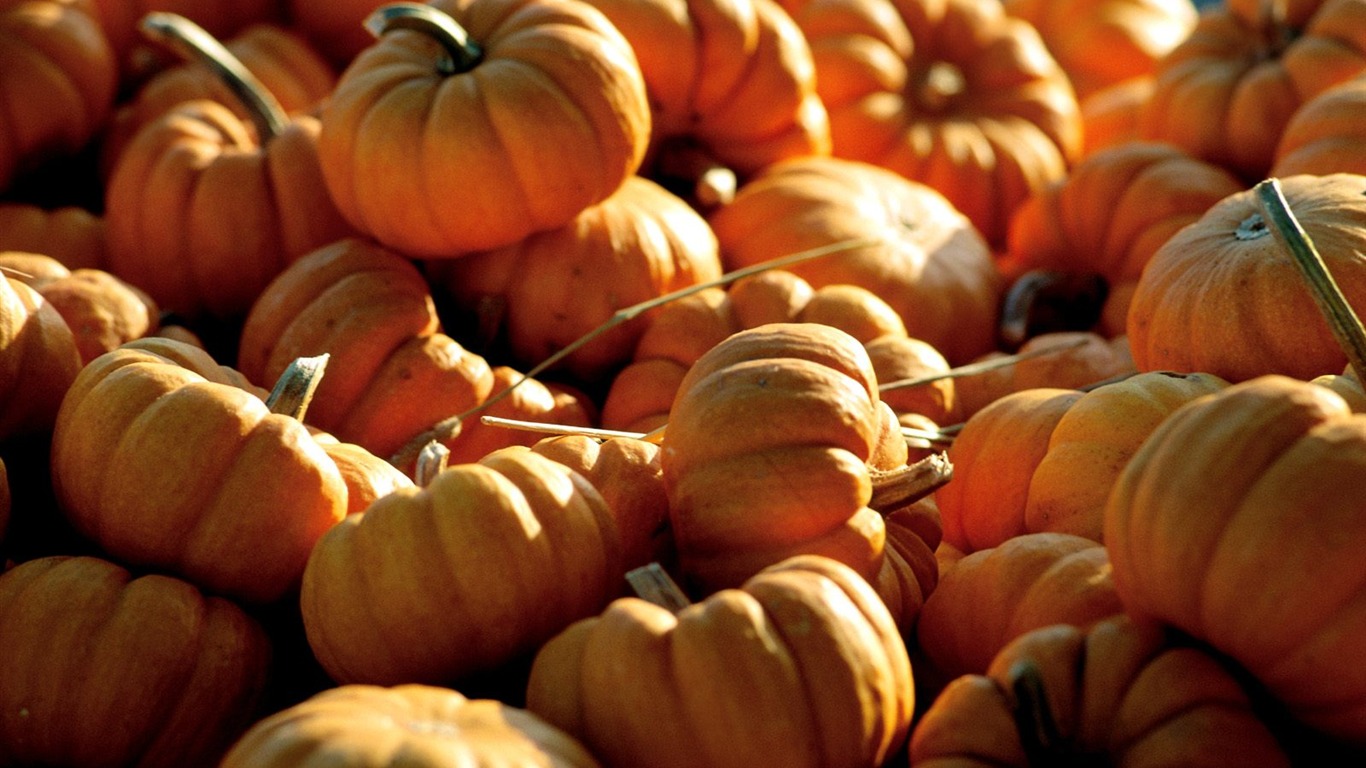 Halloween Theme Wallpapers (1) #12 - 1366x768