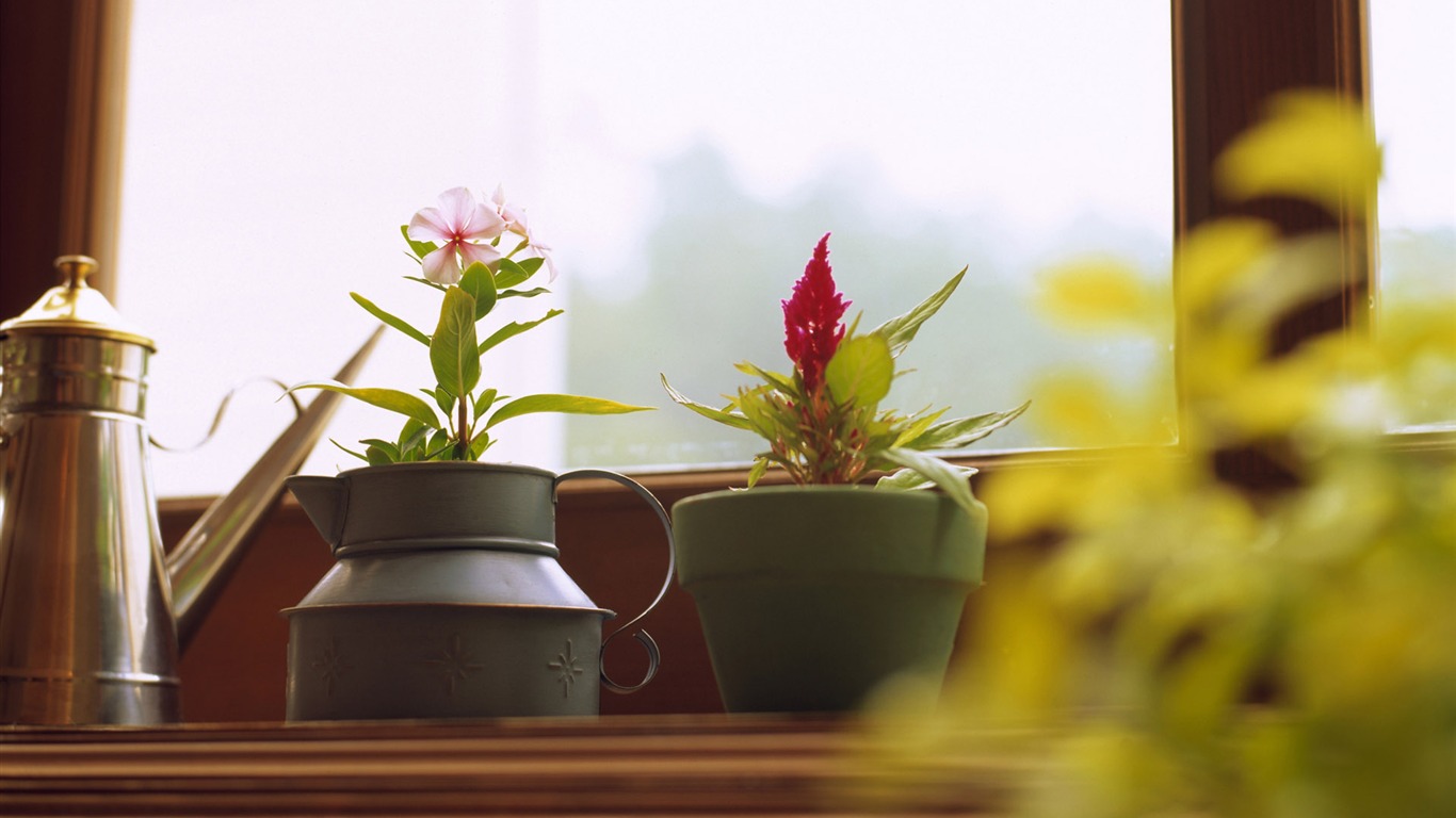 家居靜物 壁紙(17) #20 - 1366x768