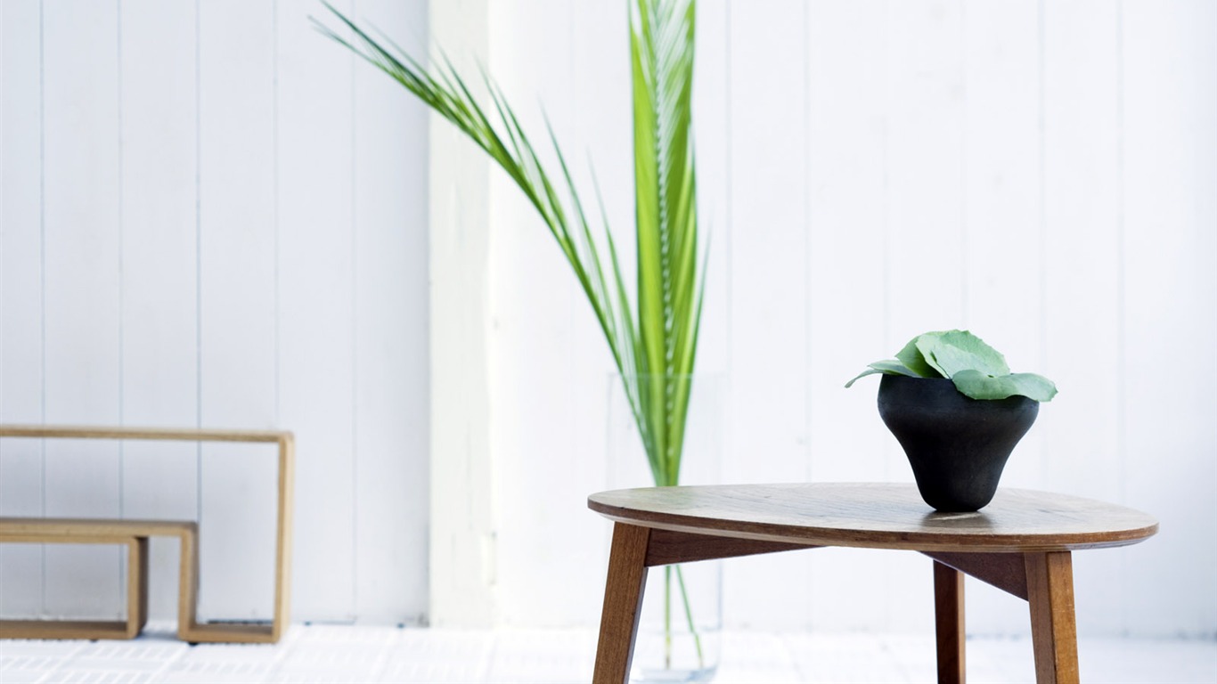 Indoor floral wallpaper (7) #5 - 1366x768