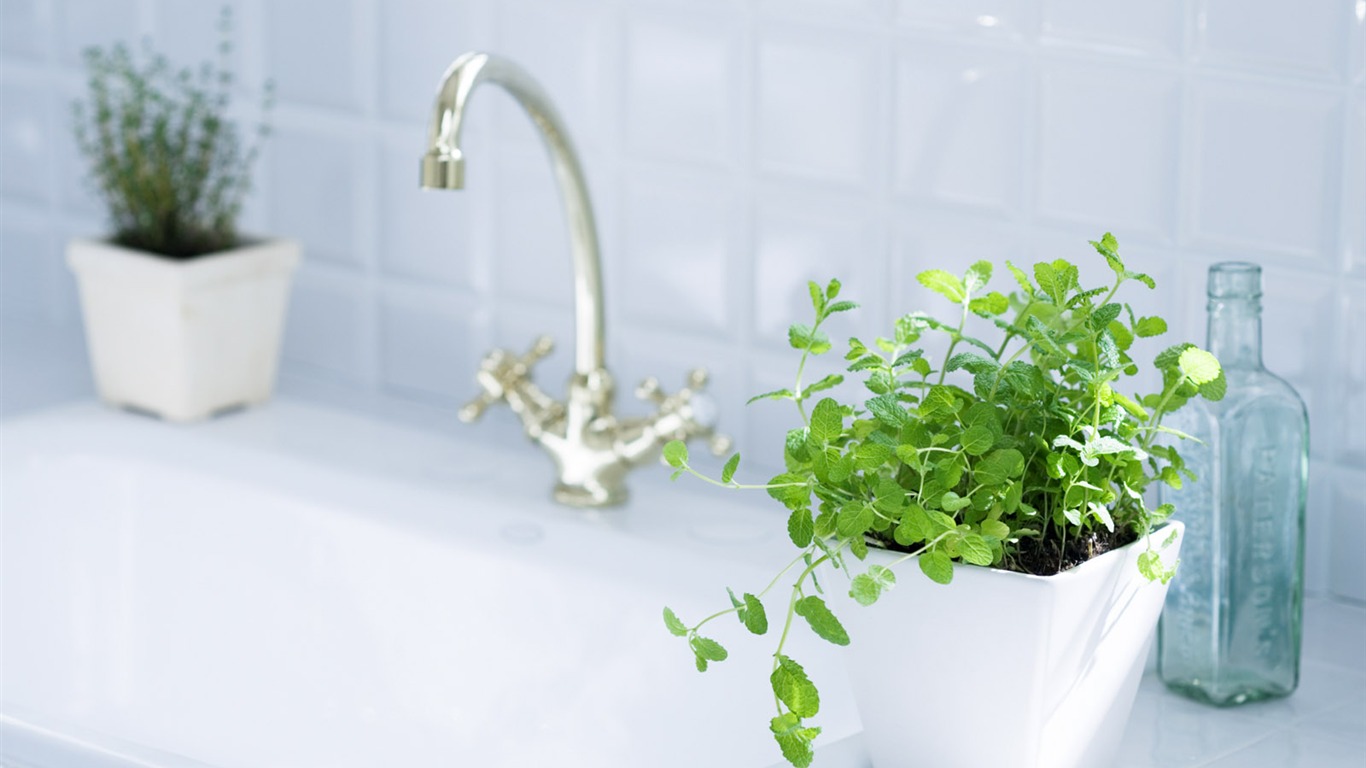 Indoor floral wallpaper (9) #6 - 1366x768