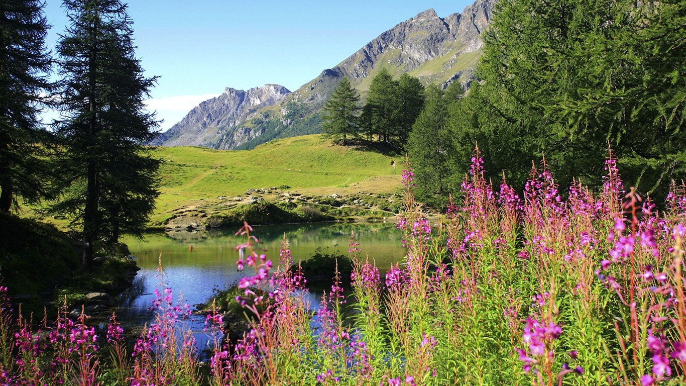 Webshots風光壁紙(14) #6 - 1366x768
