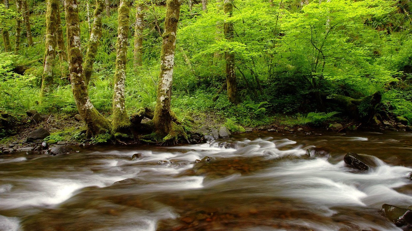 Webshots風光壁紙(14) #10 - 1366x768