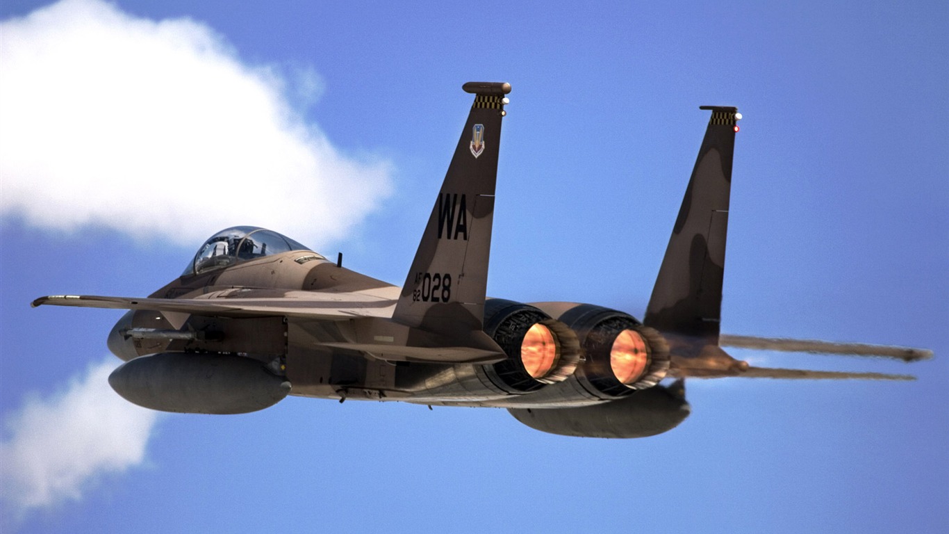 軍用飛機高清壁紙(八) #1 - 1366x768