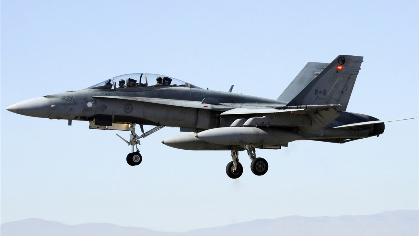 軍用飛機高清壁紙(八) #11 - 1366x768