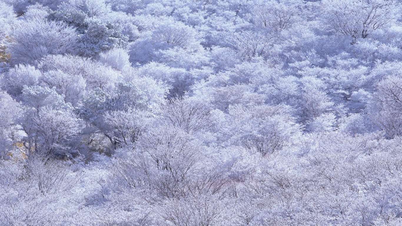 Japonský krajiny širokoúhlý Tapety #3 - 1366x768