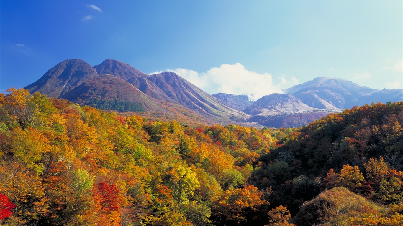 美麗如畫 日本風景寬屏壁紙 #8 - 1366x768