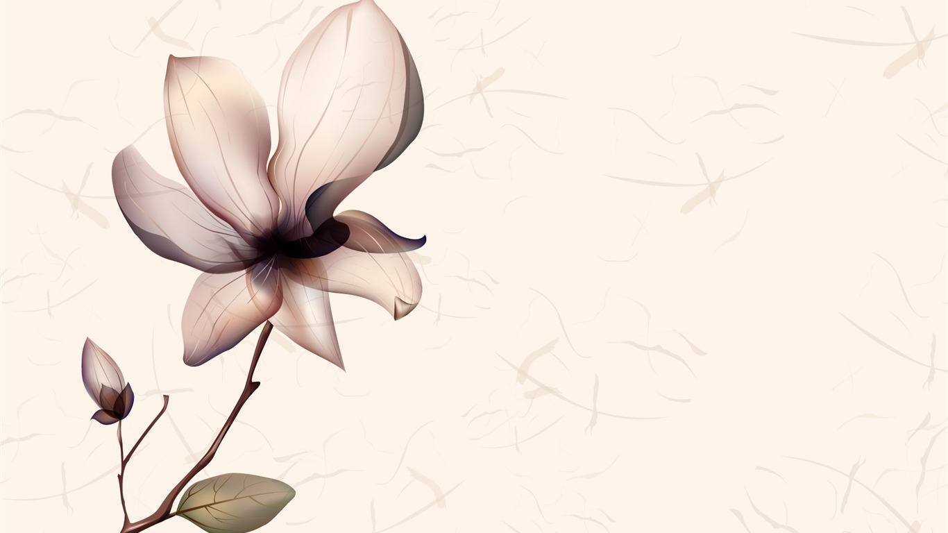 炫彩花紋 壁紙(七) #6 - 1366x768