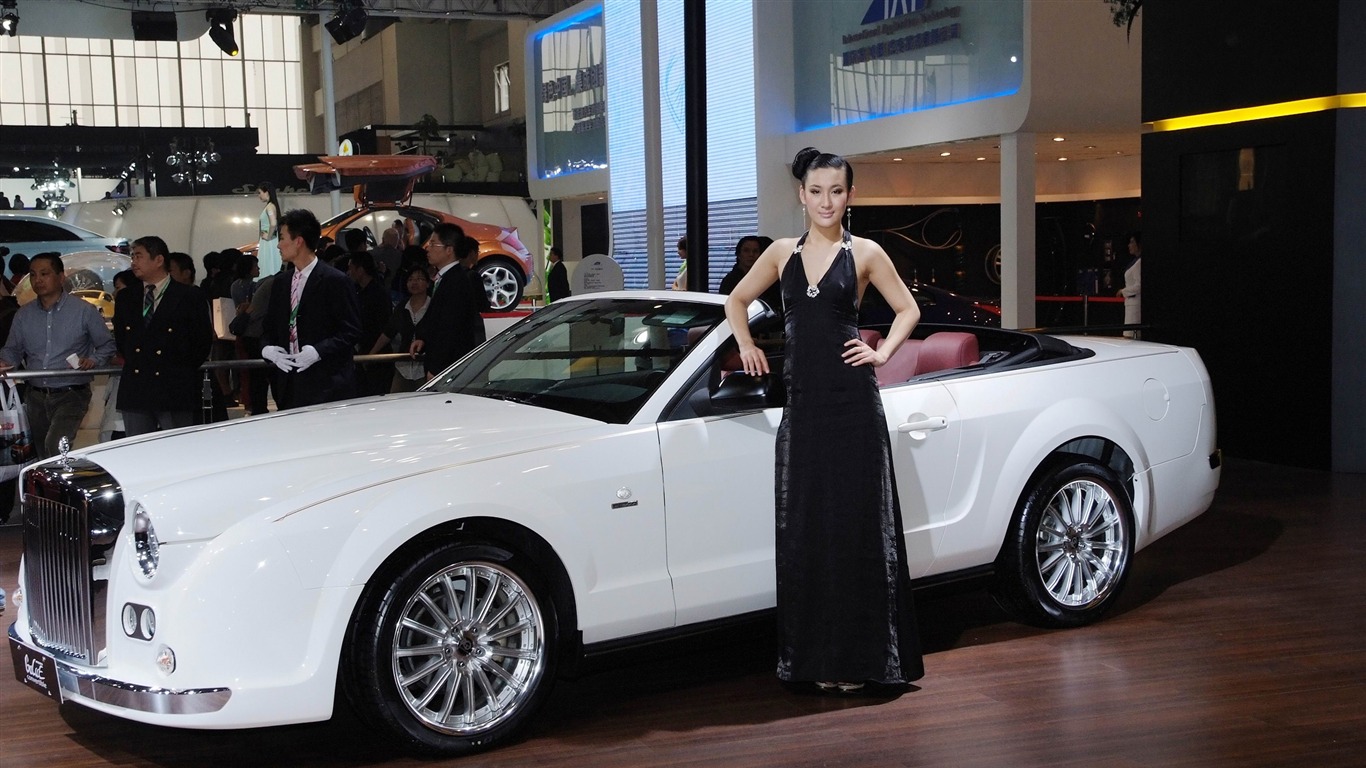 2010 Beijing International Auto Show Heung Che beauty (rebar works) #12 - 1366x768