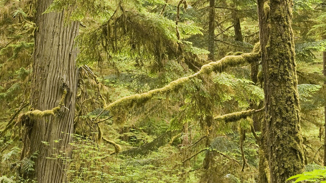 Webshots風光壁紙(16) #4 - 1366x768